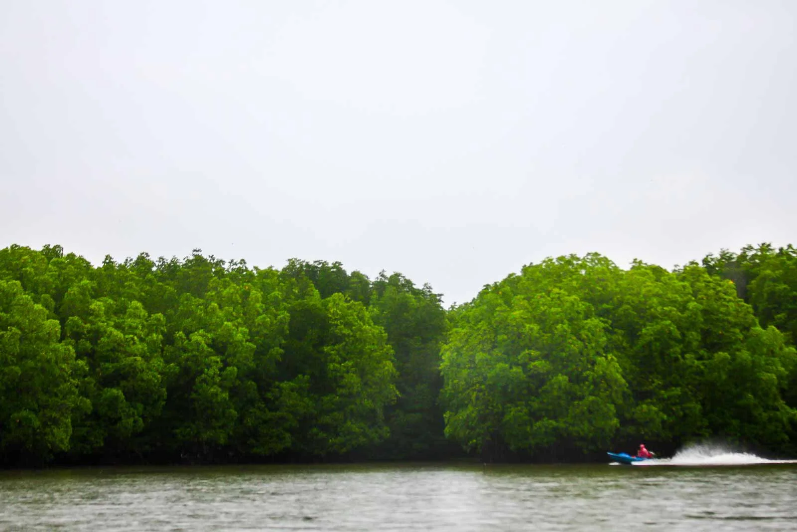 Peam Krasop 红树林